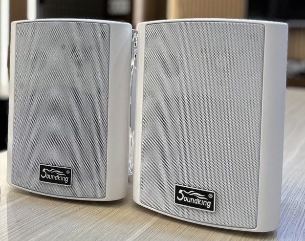 Loa hộp treo tường Soundking SX-35W