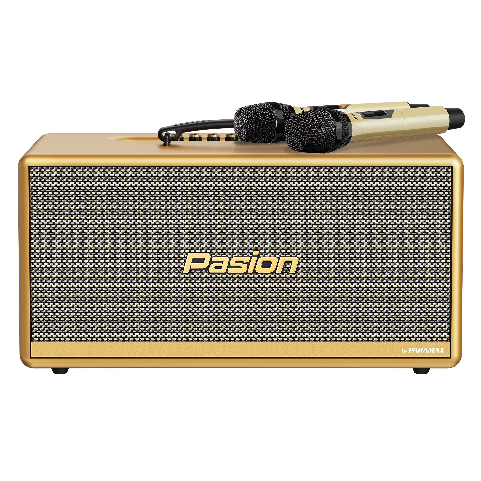 Loa di động xách tay PARAMAX PASION 2c