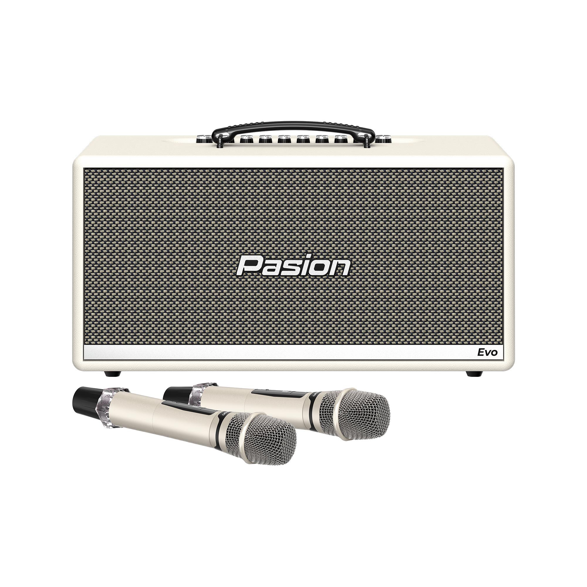 Loa di động xách tay PARAMAX PASION Evo (Leather)