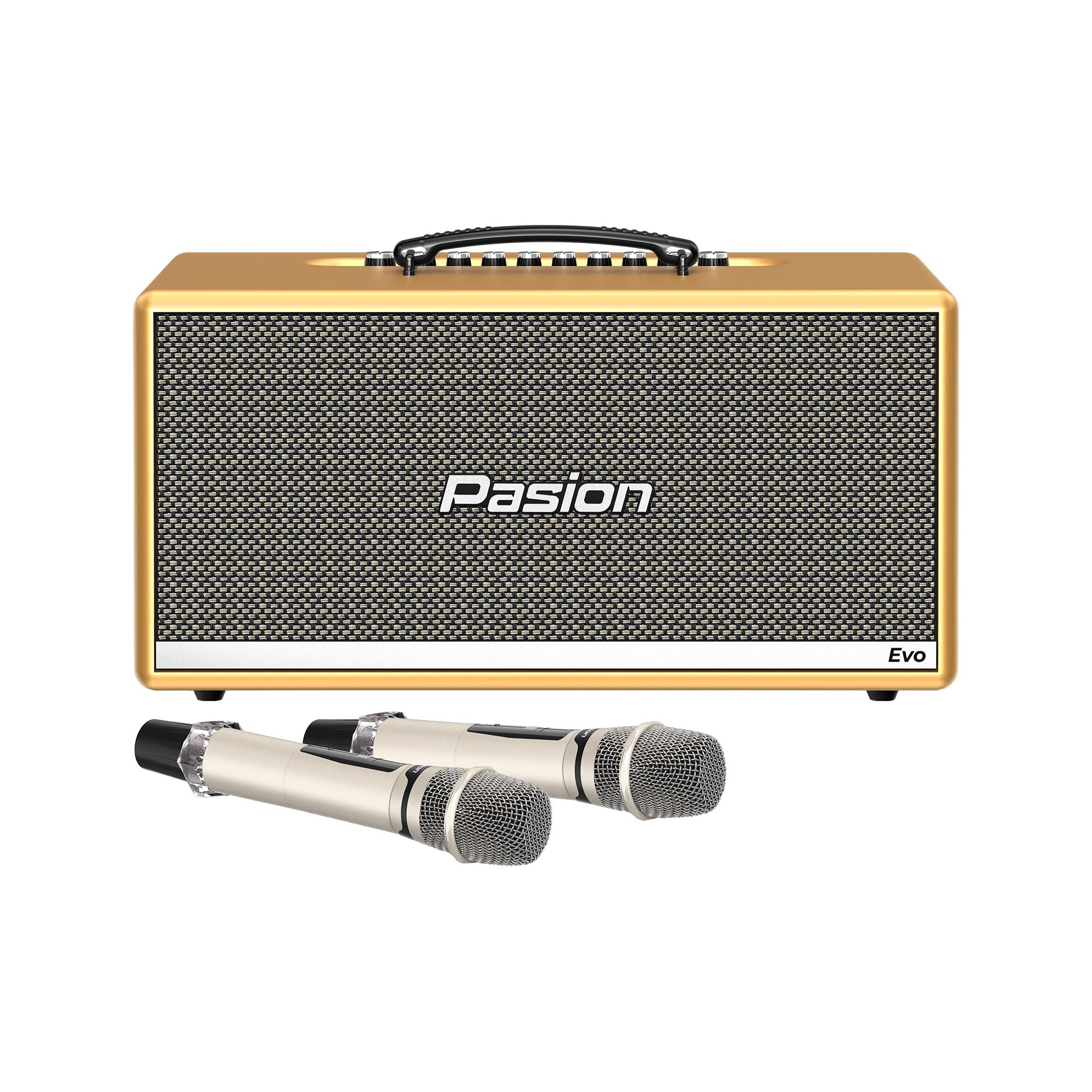 Loa di động xách tay PARAMAX PASION Evo (Satin)