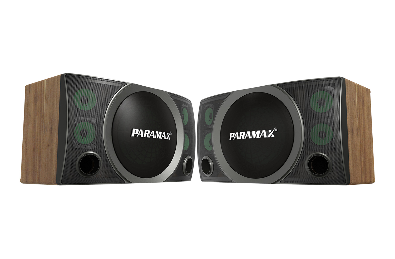 Loa treo Karaoke & Nghe nhạc 12-inch Paramax SC-3500