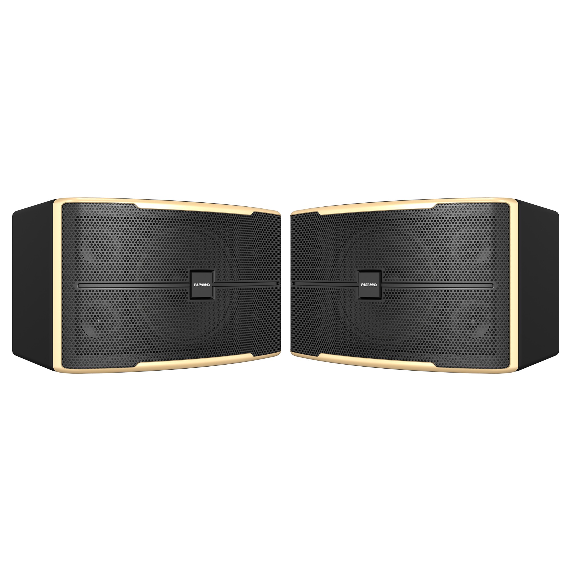 Loa Karaoke 12 inches Paramax Z-2500