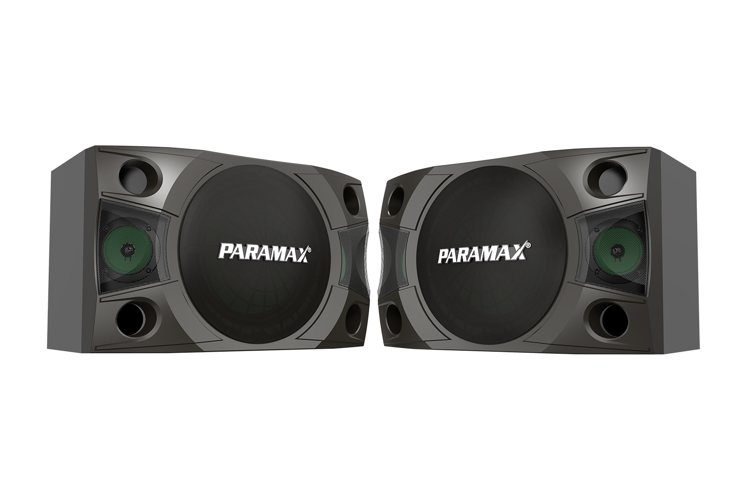 Loa Thùng Karaoke 10 inches Paramax LX-850