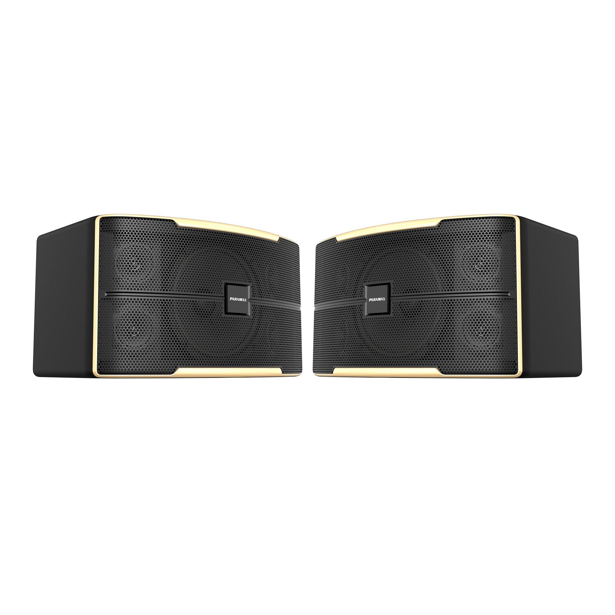 Loa Thùng Karaoke 10 inches Paramax Z-1500