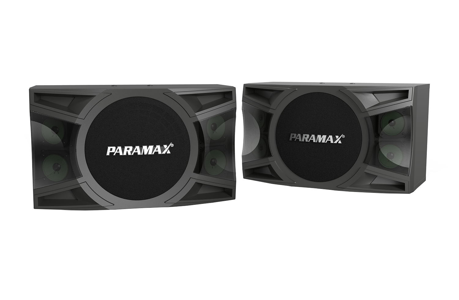 Loa Thùng Karaoke 10 inches Paramax MK-S1000