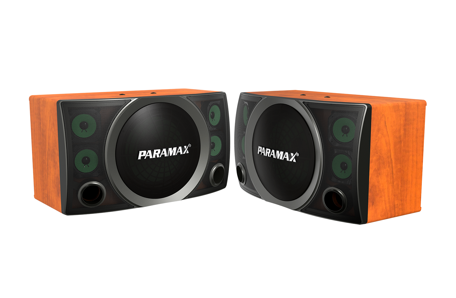 Loa treo Karaoke & Nghe nhạc 12-inch Paramax MK-2000