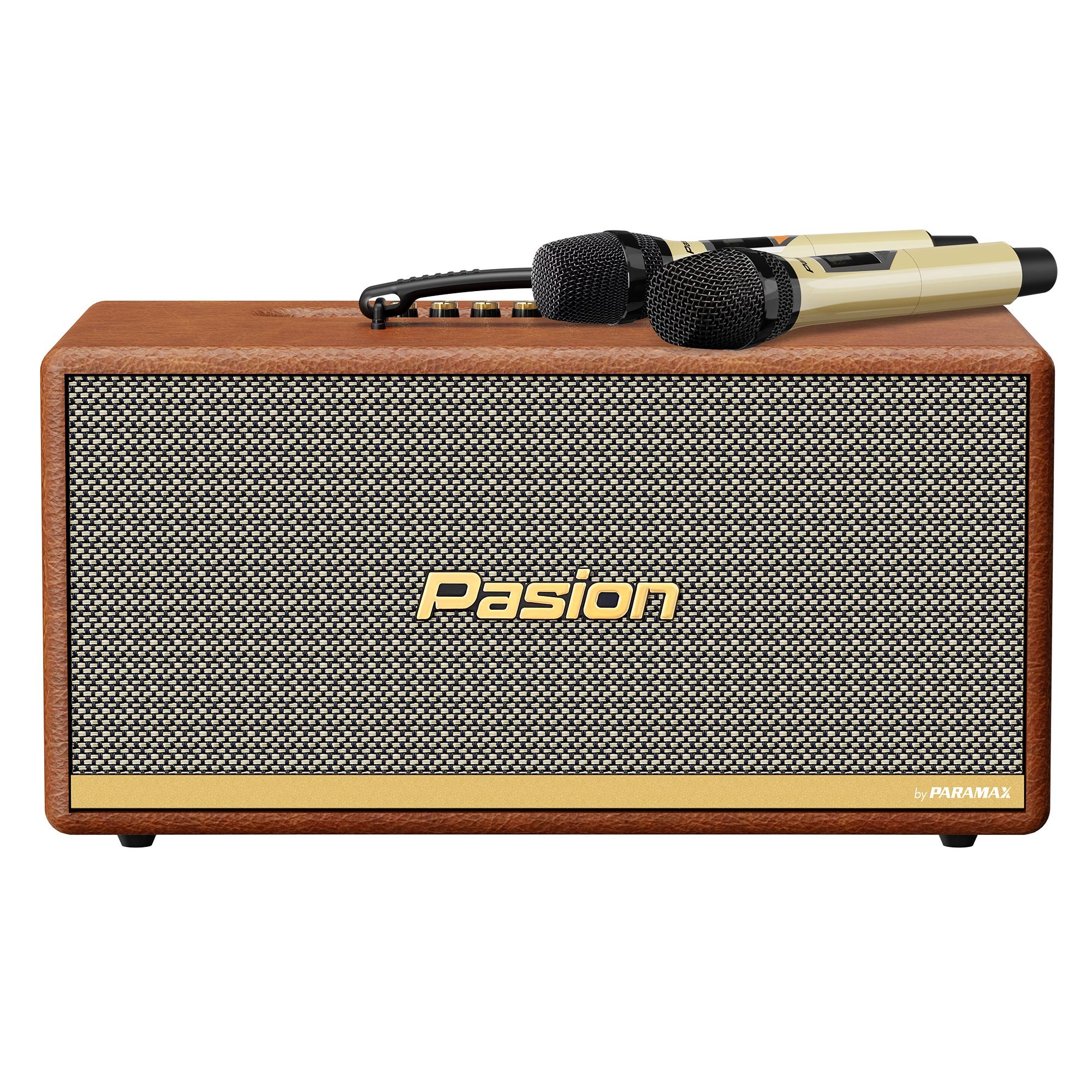 Loa di động xách tay PARAMAX PASION 2